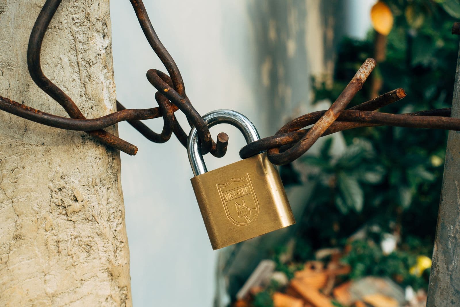 Eine Hand hält ein Vorhängeschloss aus Messing. Ein Passwort-Manager verwahrt jede Zugangsdaten, die Sie besitzen, was die Frage, wem Sie seinen Bau anvertrauen, zur wichtigsten überhaupt macht.